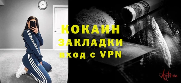 сатива Рославль